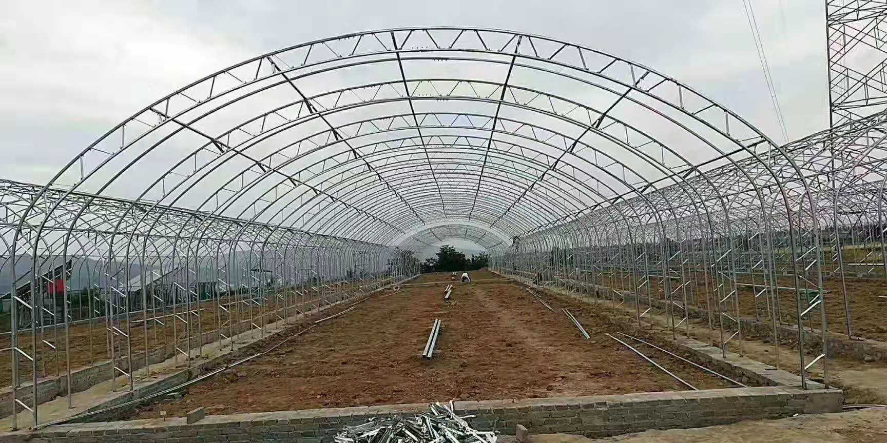 河北溫室大棚-雙膜雙拱溫室大棚